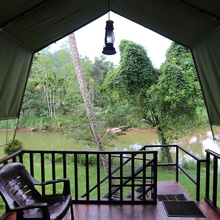 360 Rainforest Денияйя Экстерьер фото