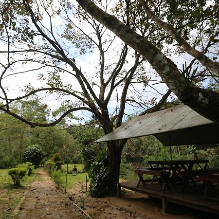 360 Rainforest Денияйя Экстерьер фото