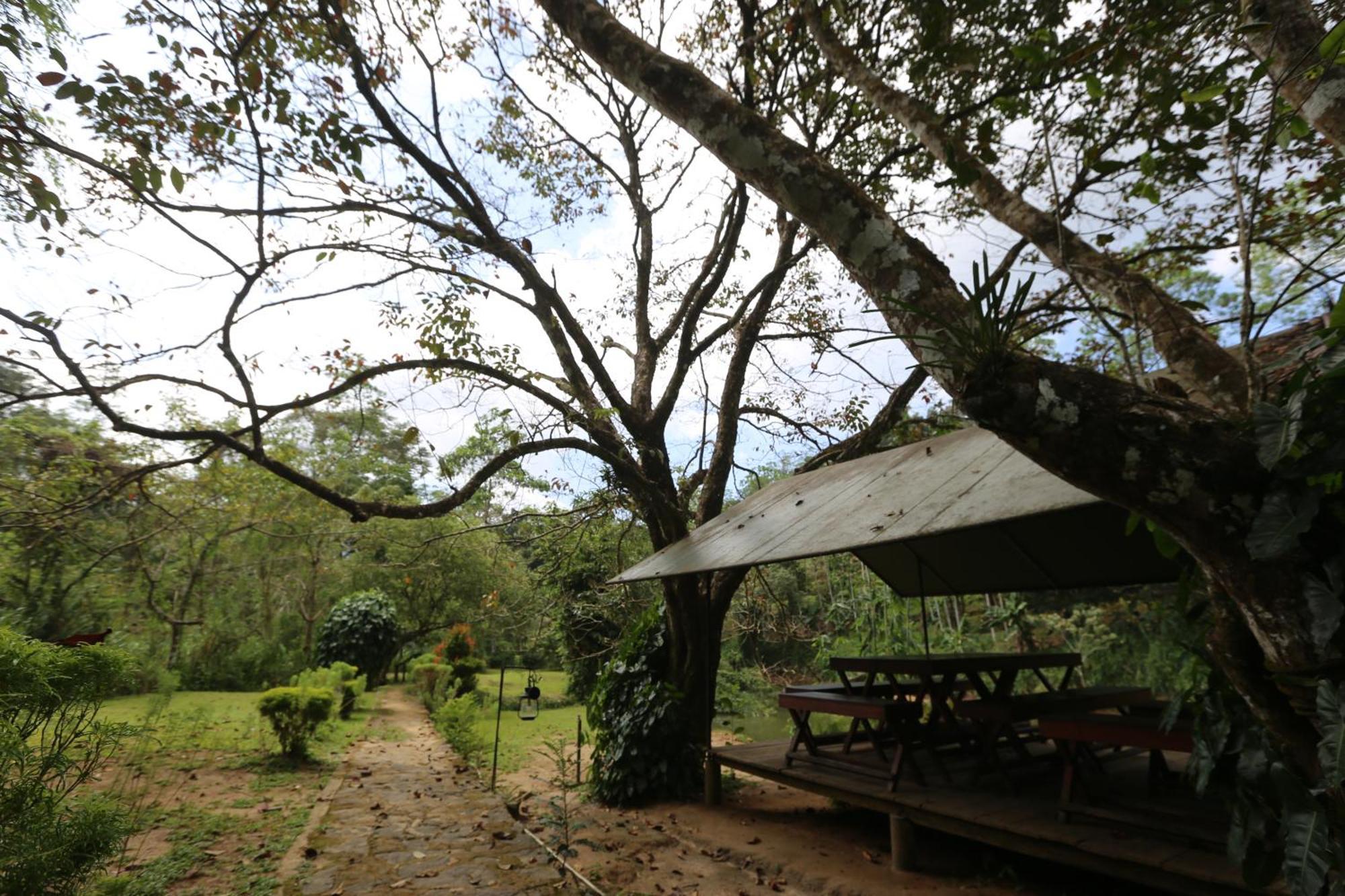 360 Rainforest Денияйя Экстерьер фото