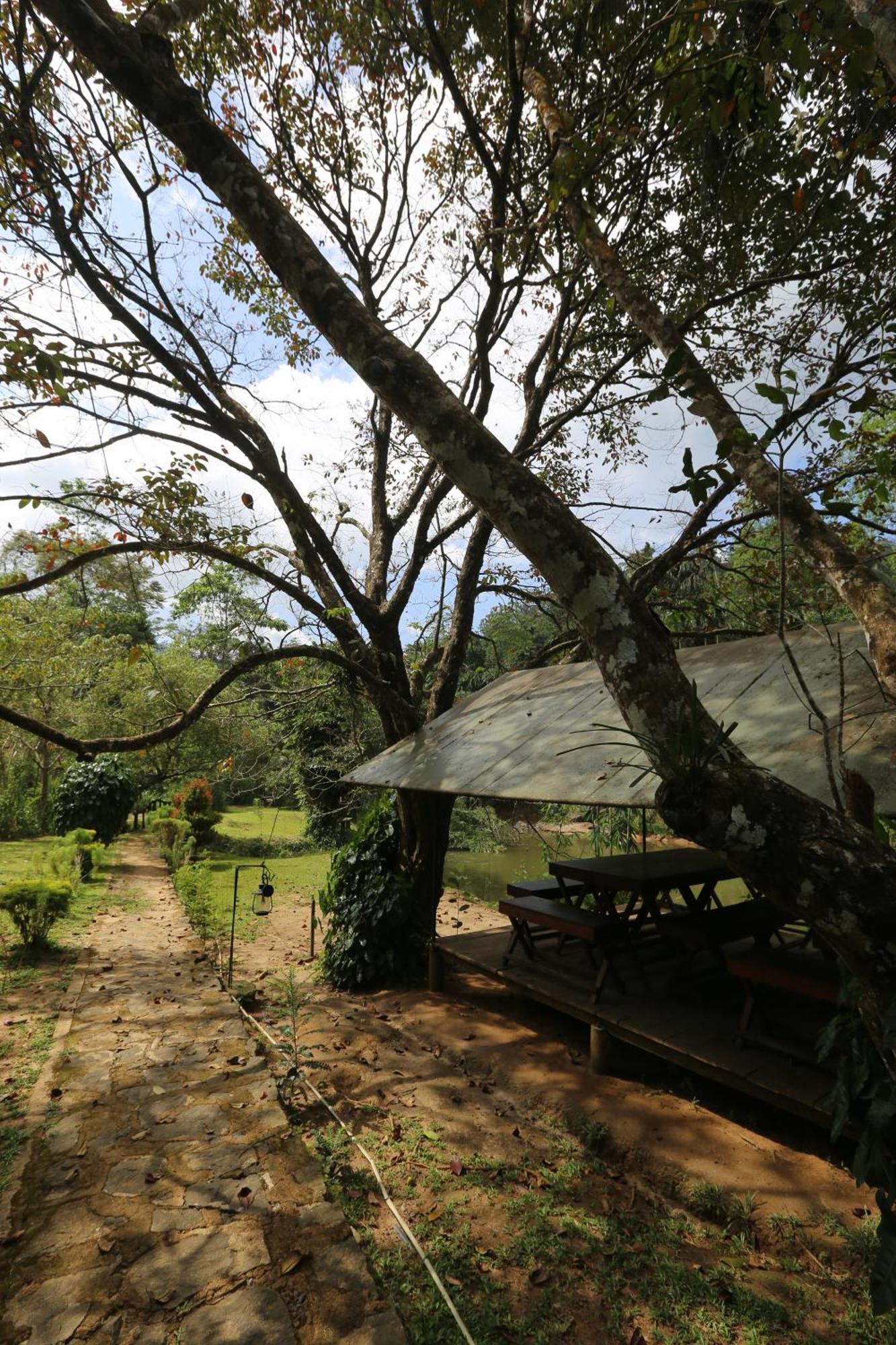 360 Rainforest Денияйя Экстерьер фото