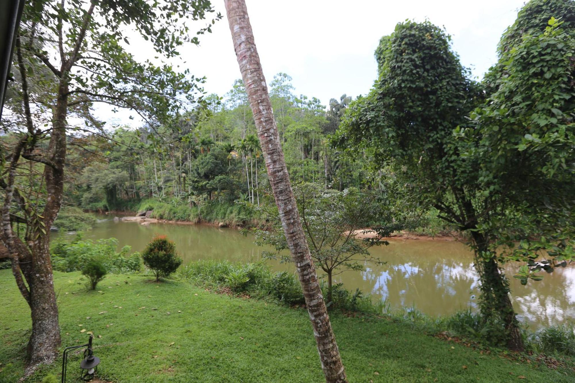 360 Rainforest Денияйя Экстерьер фото