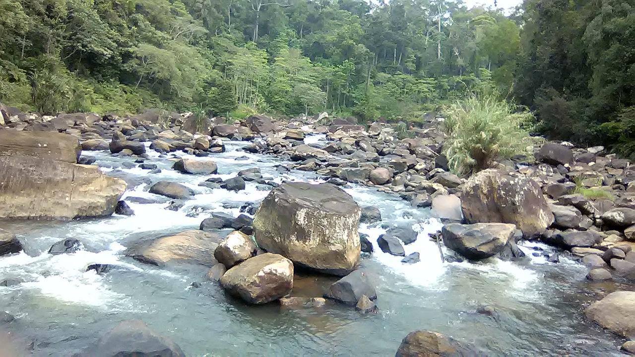 360 Rainforest Денияйя Экстерьер фото