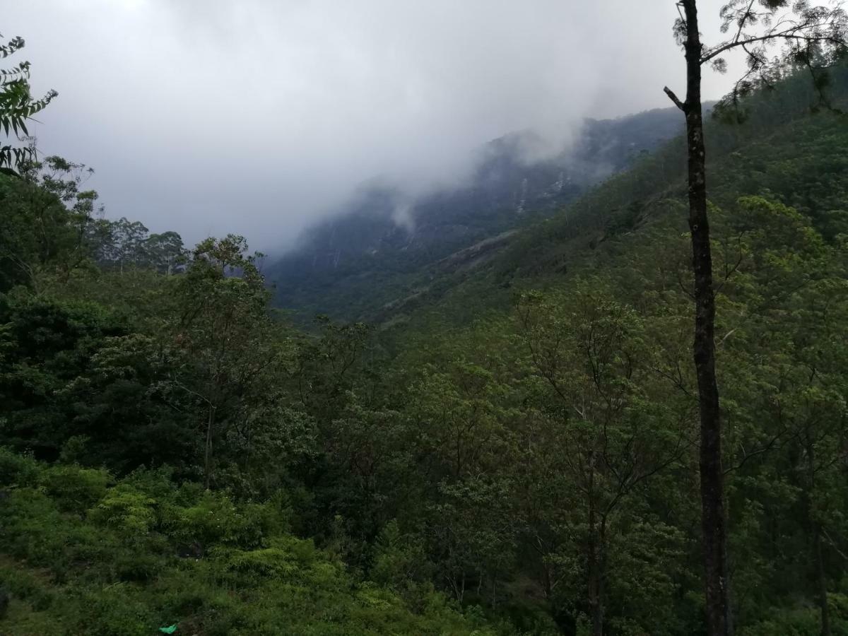360 Rainforest Денияйя Экстерьер фото