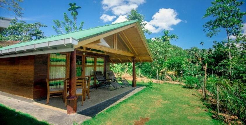360 Rainforest Денияйя Экстерьер фото