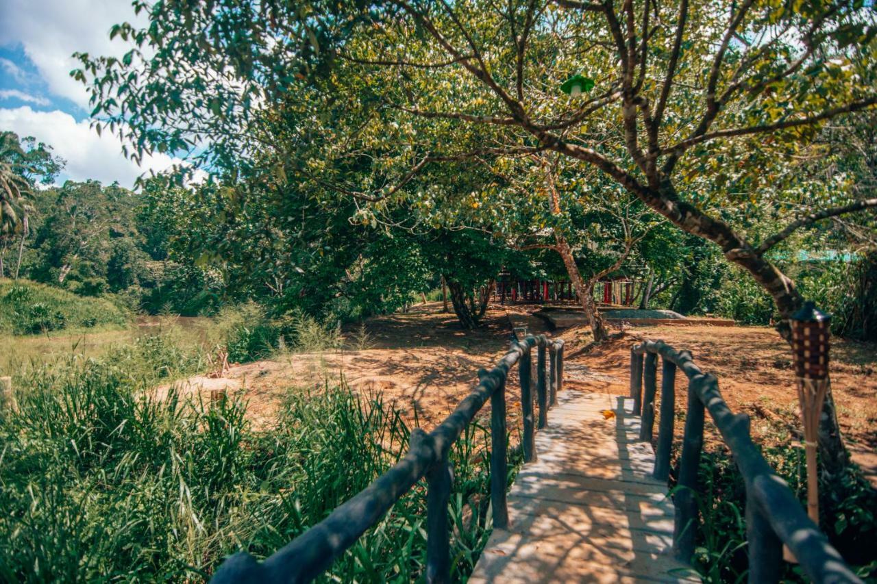 360 Rainforest Денияйя Экстерьер фото