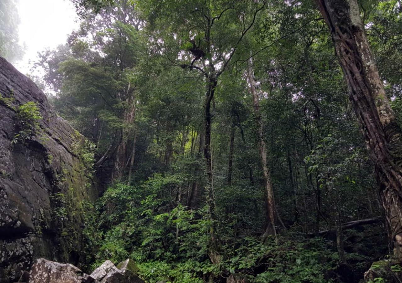 360 Rainforest Денияйя Экстерьер фото