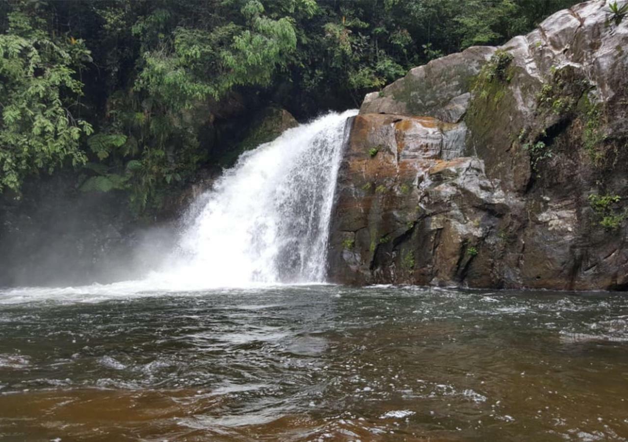 360 Rainforest Денияйя Экстерьер фото