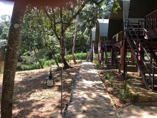 360 Rainforest Денияйя Экстерьер фото