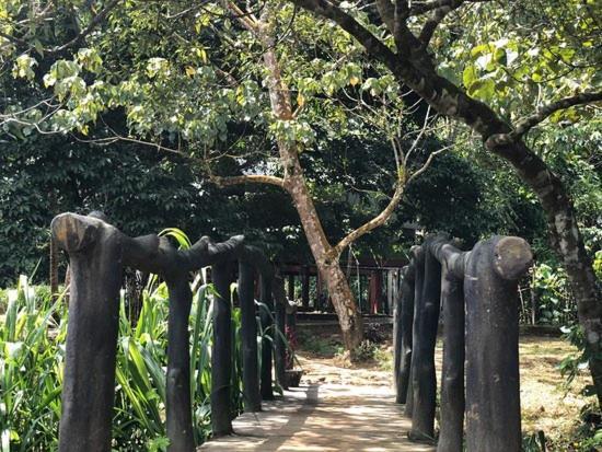 360 Rainforest Денияйя Экстерьер фото