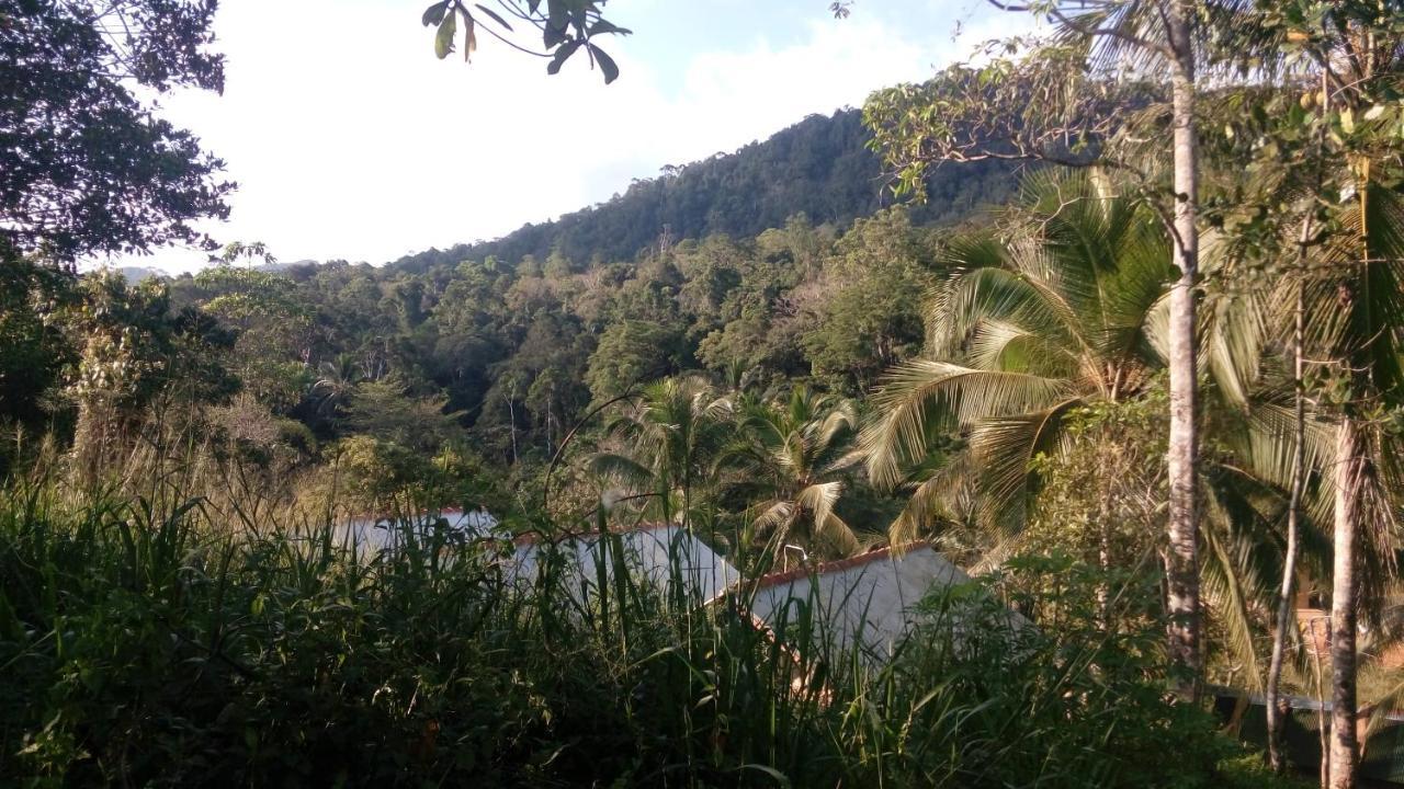 360 Rainforest Денияйя Экстерьер фото