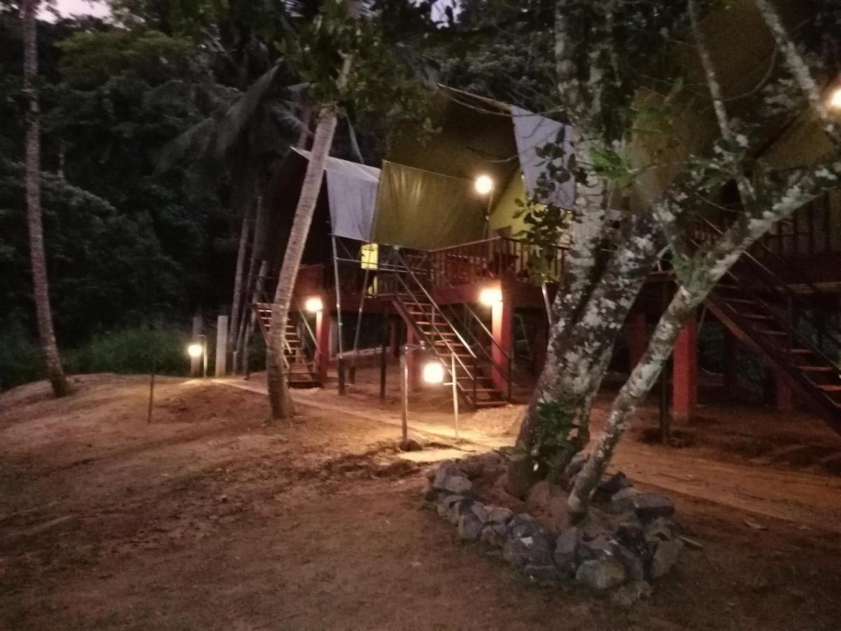360 Rainforest Денияйя Экстерьер фото